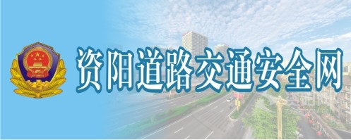 大鸡巴草逼网资阳道路交通安全网