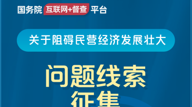 免费插逼逼视频国务院“互联网+督查”平台公开征集阻碍民营经济发展壮大问题线索